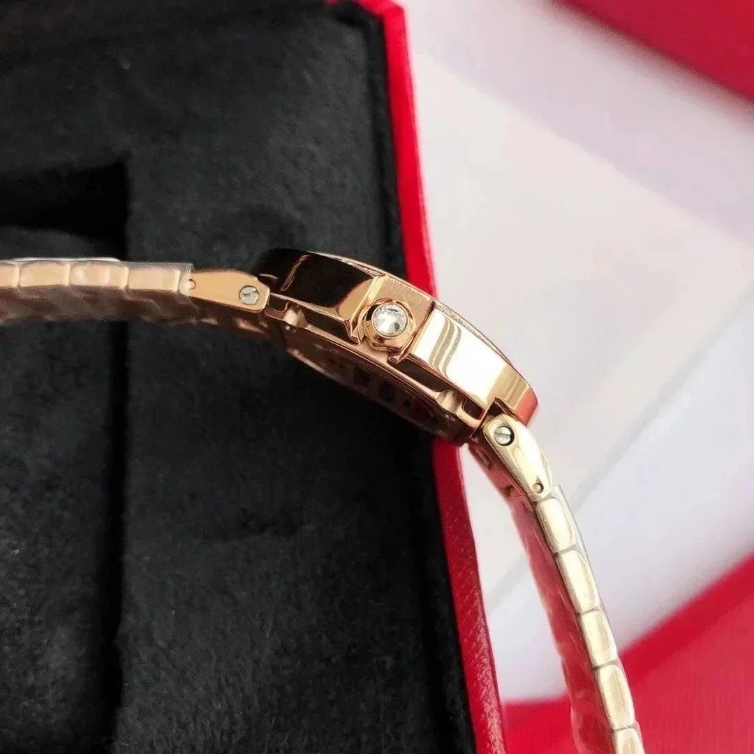 까르띠에 베누아 라지 wb520026