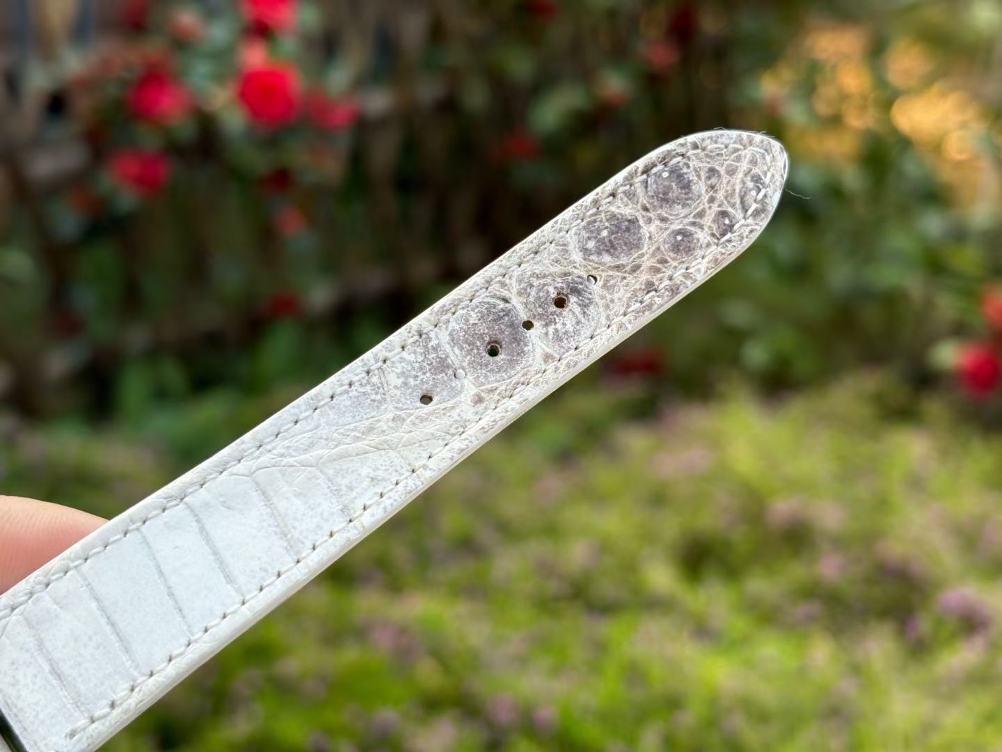 에르메스 H 아워