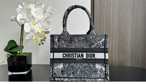 디올 북 토트백 어라운드 더 월드 블루 & 화이트