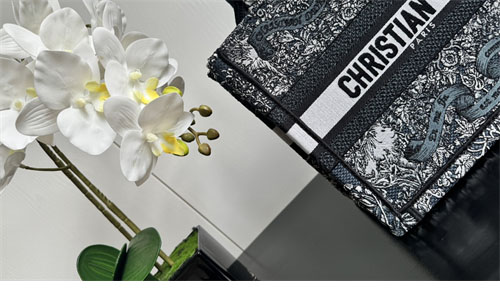 디올 북 토트백 어라운드 더 월드 블루 & 화이트