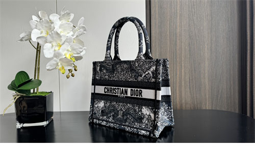 디올 북 토트백 어라운드 더 월드 블루 & 화이트