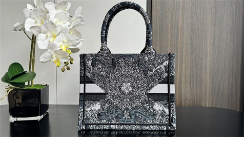 디올 북 토트백 어라운드 더 월드 블루 & 화이트