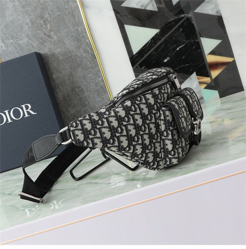 디올 오블리크 벨트백