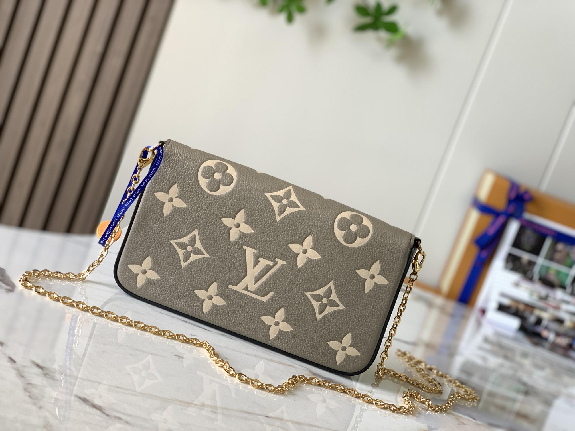 Louis Vuitton Felicie Pochette
