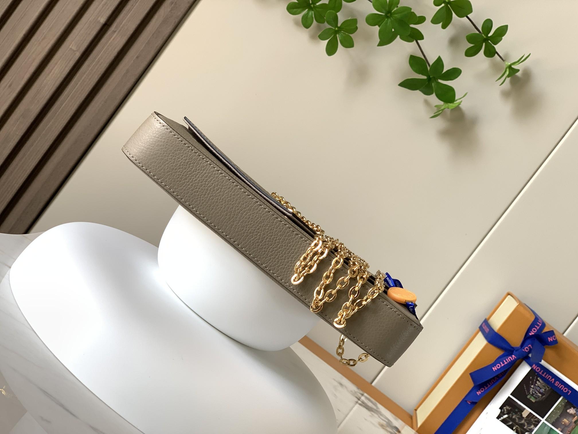 Louis Vuitton Felicie Pochette