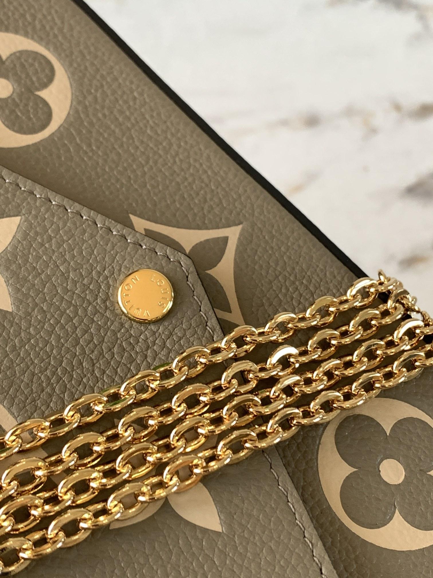 Louis Vuitton Felicie Pochette