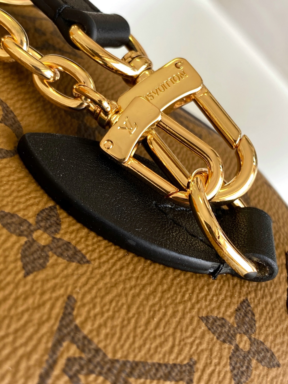 Louis Vuitton Speedy Trunk 20
