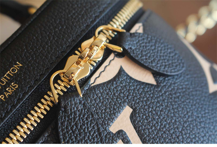 루이비통 베니티 PM 앙프렝뜨 모노그램 M45780