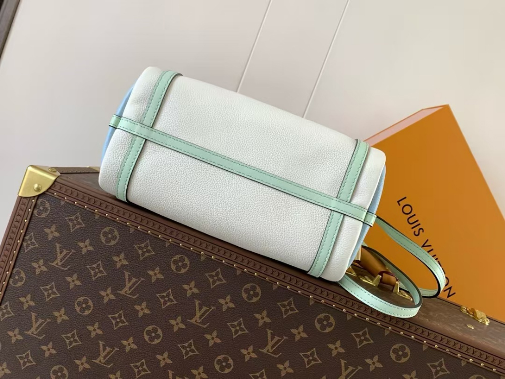 Louis Vuitton Express PM
