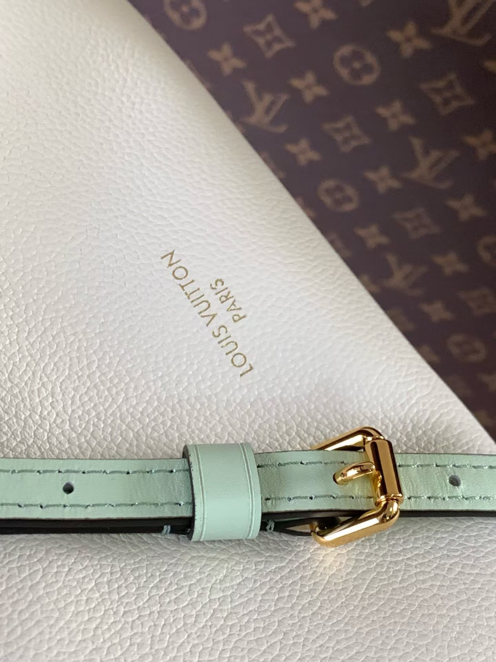 Louis Vuitton Express PM