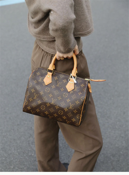 루이비통 스피디 나노 모노그램 크로스백 M41113