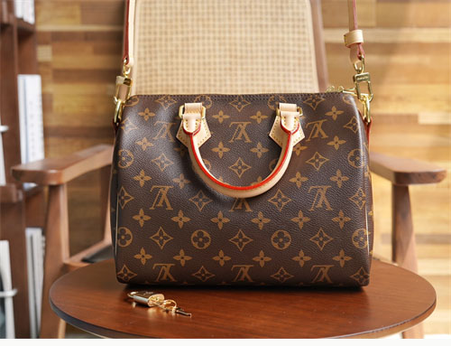 루이비통 스피디 나노 모노그램 크로스백 M41113