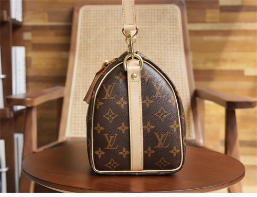 루이비통 스피디 나노 모노그램 크로스백 M41113