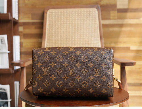 루이비통 스피디 나노 모노그램 크로스백 M41113