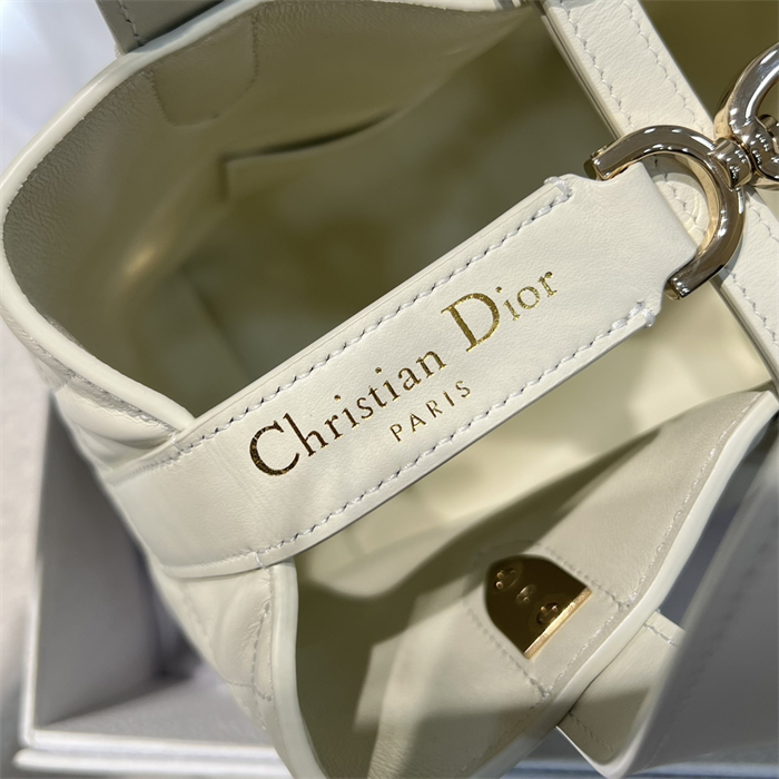 디올 뚜주흐 스몰 버티컬 토트백 라떼 매크로까나쥬