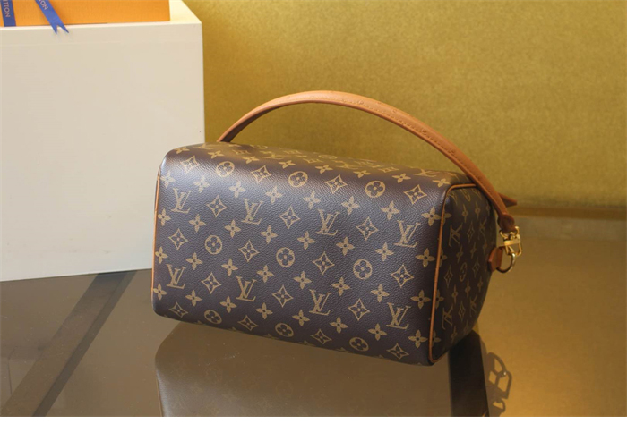 루이비통 스피디 소프트 30 보호 모노그램 N87212