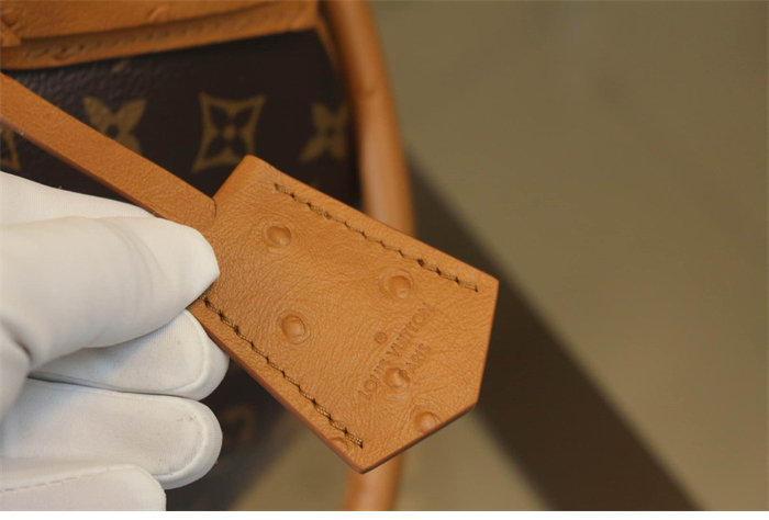 루이비통 스피디 소프트 30 보호 모노그램 N87212