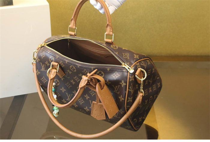 루이비통 스피디 소프트 30 보호 모노그램 N87212