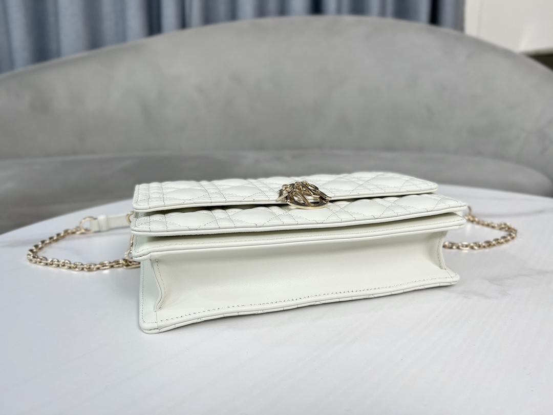 디올 Miss Dior Top Handle