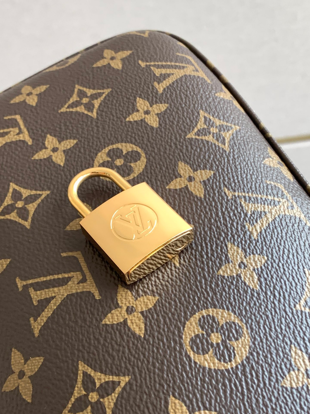 Louis Vuitton Slouchy Monogram PM