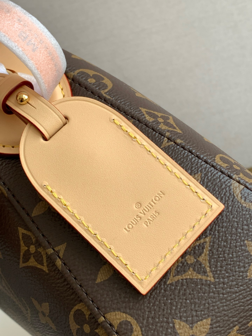 Louis Vuitton Slouchy Monogram PM