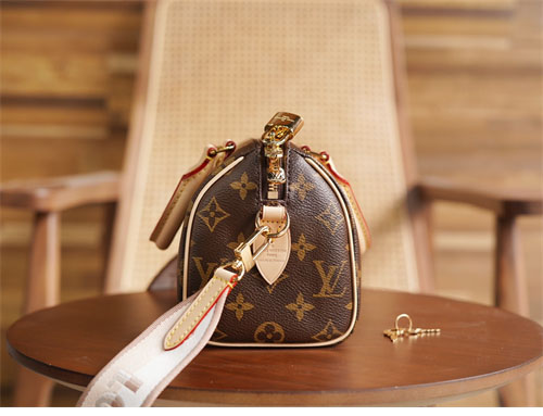 루이비통 스피디 반둘리에 20 토트백 M46222