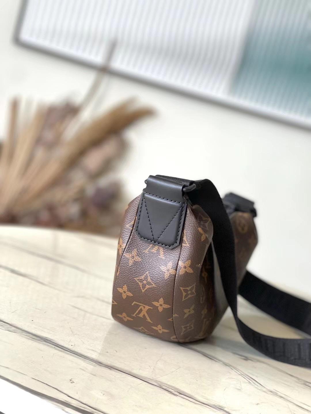 Louis Vuitton Hamac PM Monogram