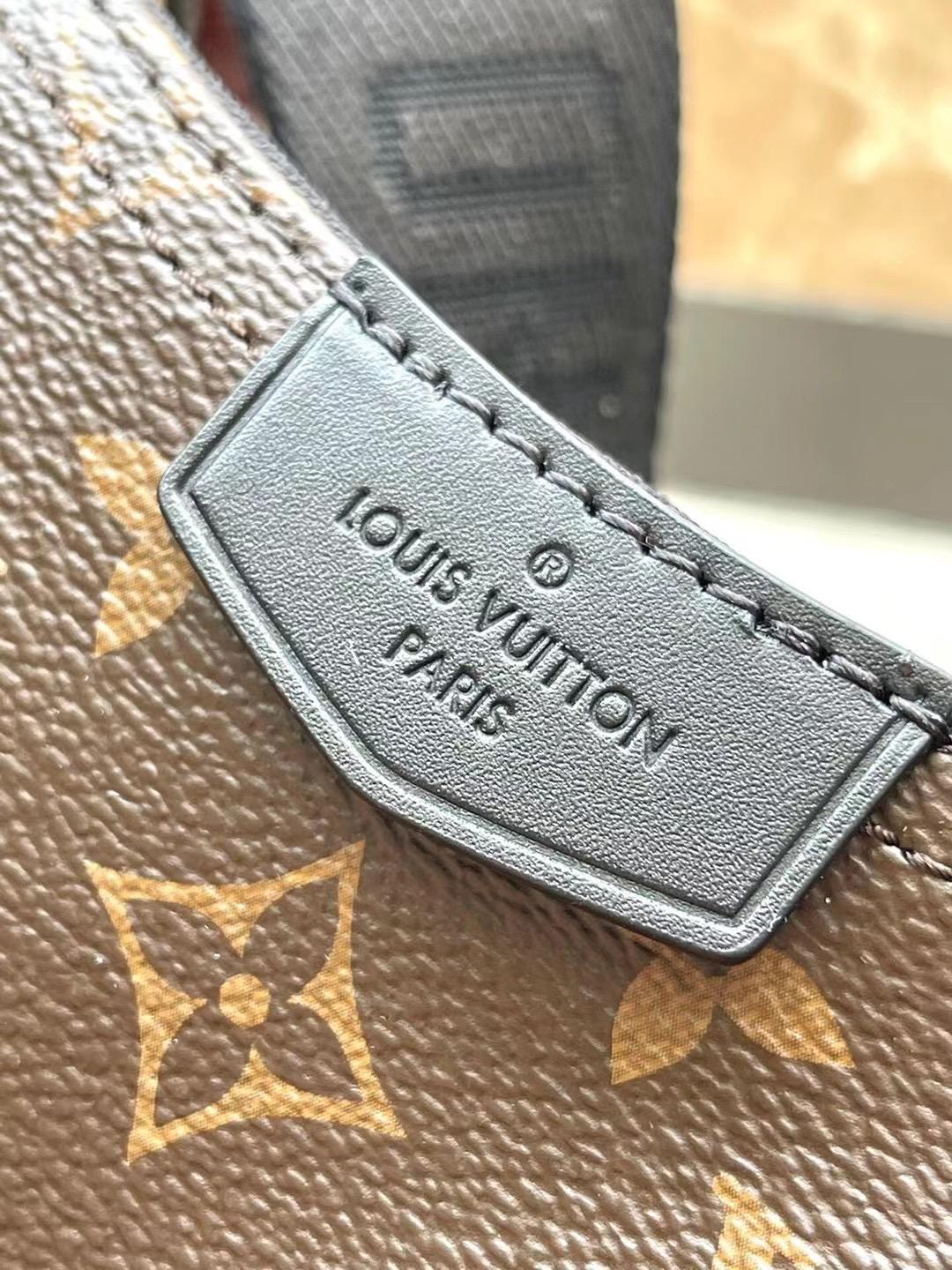 Louis Vuitton Hamac PM Monogram