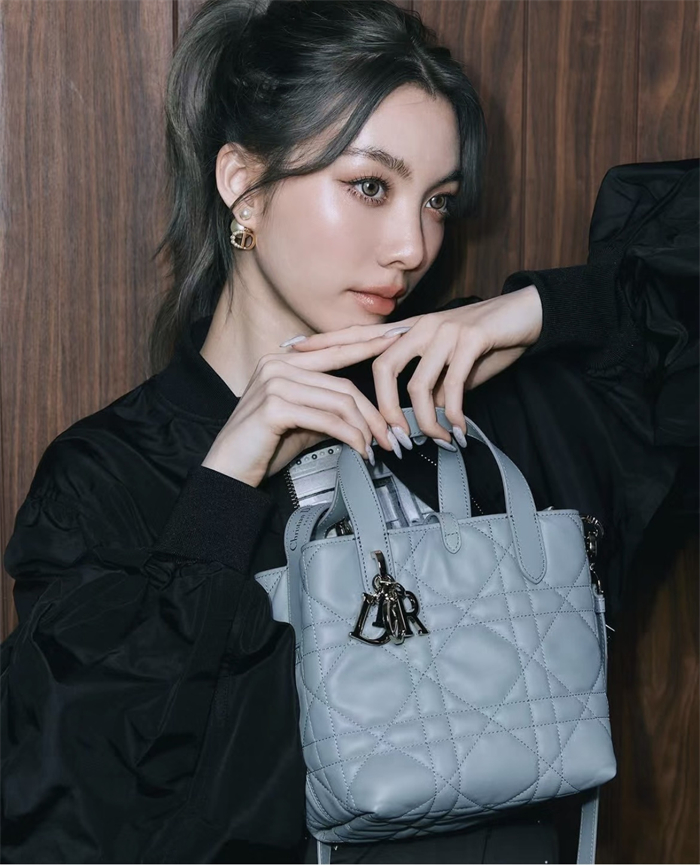 디올 뚜주흐 스몰 버티컬 토트백 스톤 그레이 매크로까나쥬