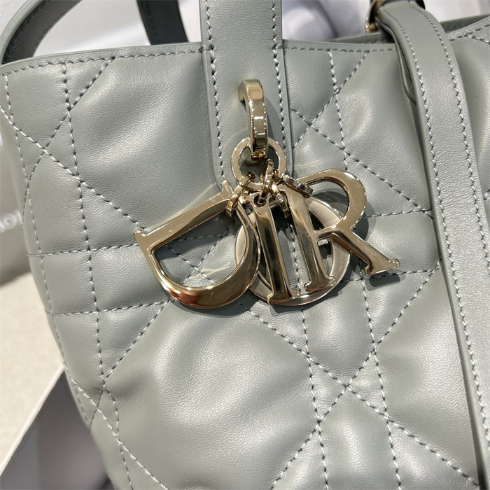 디올 뚜주흐 스몰 버티컬 토트백 스톤 그레이 매크로까나쥬