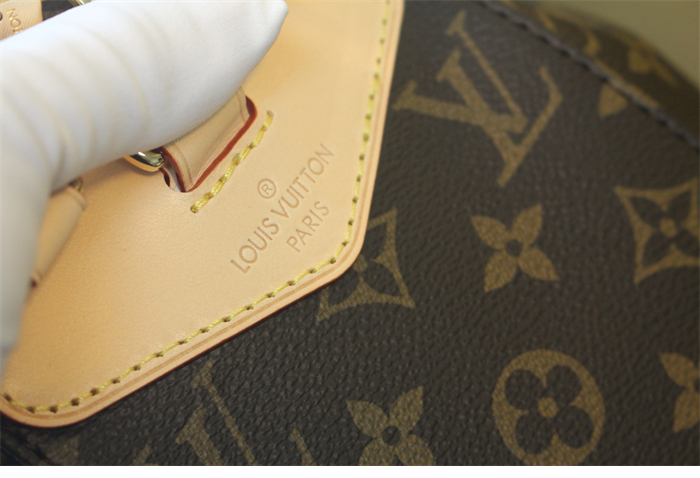 루이비통 모노그램 몽수리 미니 M11199