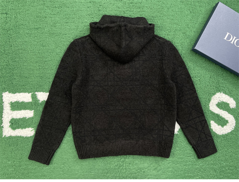 디올 까나쥬 후드 스웨트셔츠（레어）