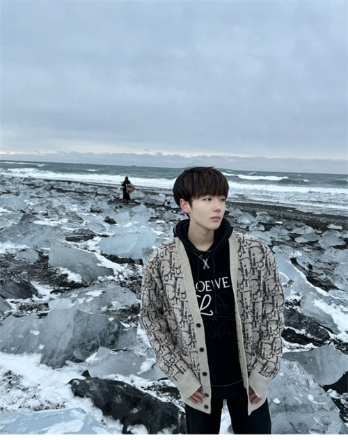 디올 오블리크 v넥 가디건