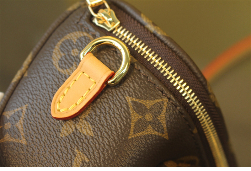 루이비통 미니 범백 모노그램 M82335