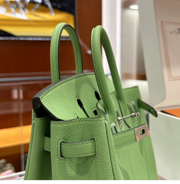 에르메스 버킨백 25 토고 은장