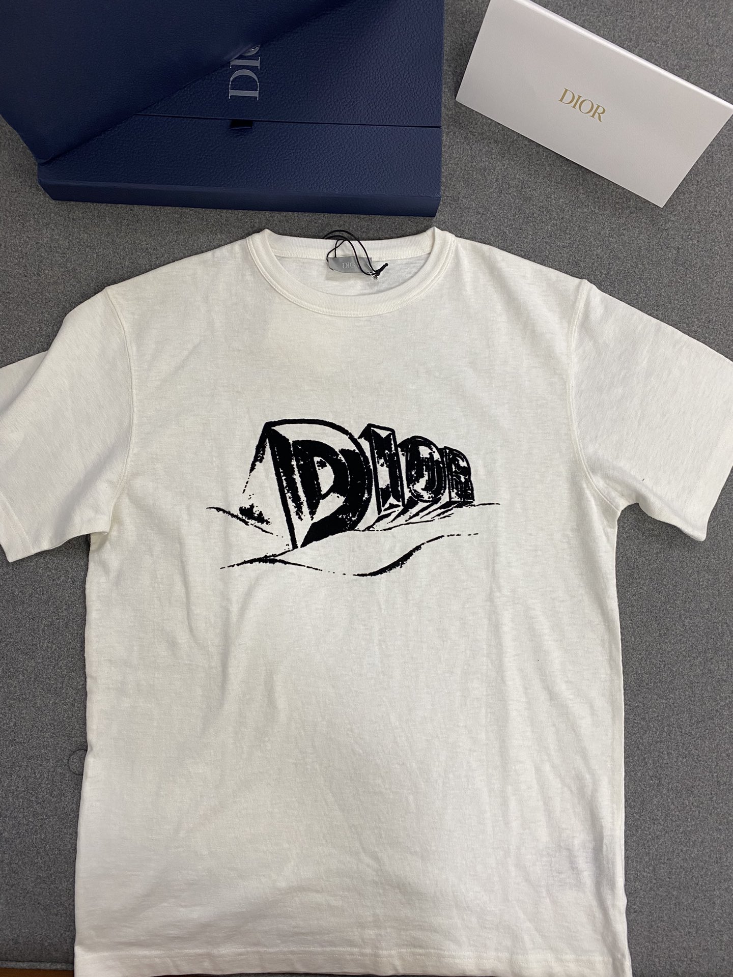 디올 23FW 화이트 플록 아스트로 반팔 티셔츠 화이트